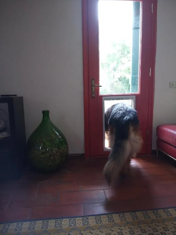 Il Fienile Villa Ameglia Holiday home